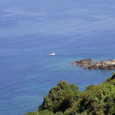 Korali Ormos (Samos) Exterior foto